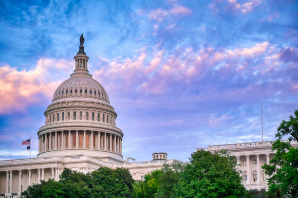 istock The United States Capitol in Washington, D.C. 1350909799