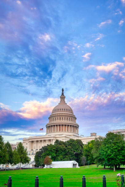 istock The United States Capitol in Washington, D.C. 1350909804