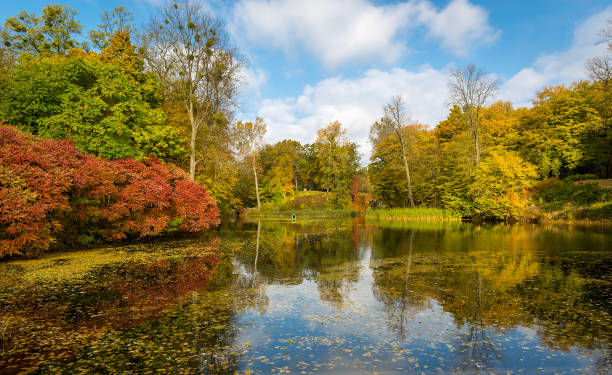 istock lake in autumn park 1350909829