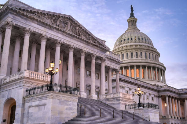 istock The United States Capitol in Washington, D.C. 1350909834