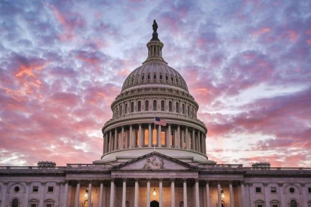 istock The United States Capitol in Washington, D.C. 1350909856