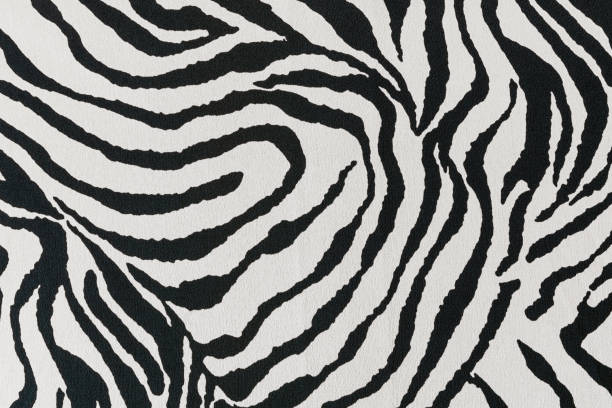 istock White Tiger fabric texture. Symbol of 2022 Tiger 1350913990