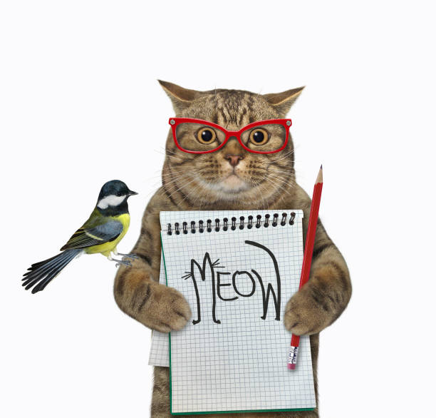 istock Cat in glasses holds notebook with meow 1350915560