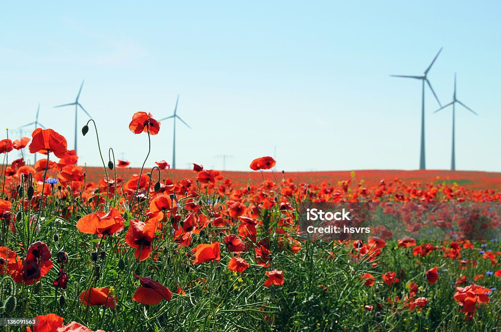 Estupro campos com turbina eólica e vermelho papoila - Royalty-free Ajardinado Foto de stock