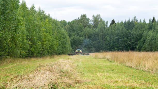 Farmers harvest a mowed field of grass with combine harvester. Mowing a green fresh grass field. Agricultural concept.