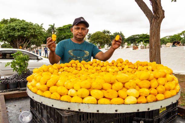 Goiânia, Goias, Brazil – November 02, 2021:  Seller with pequi stand on the street. Pequi, a typical fruit from the Brazilian cerrado. Pequi seller.