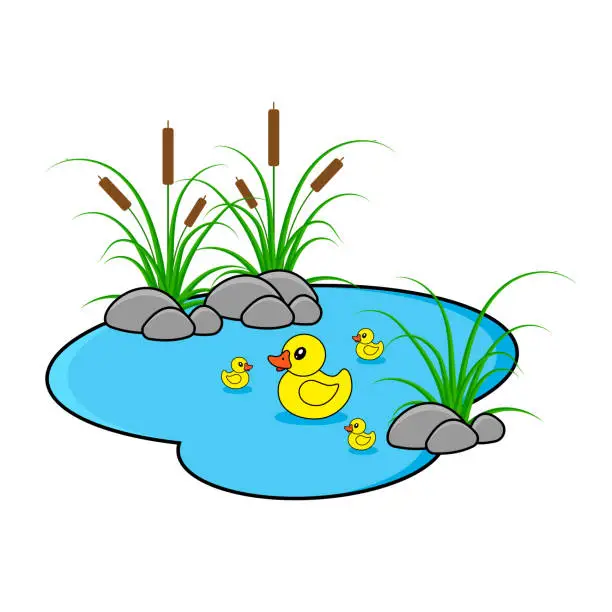 Vector illustration of Duck and ducklings swimming in pond. Cartoon vector illustration. Duck mother and family.