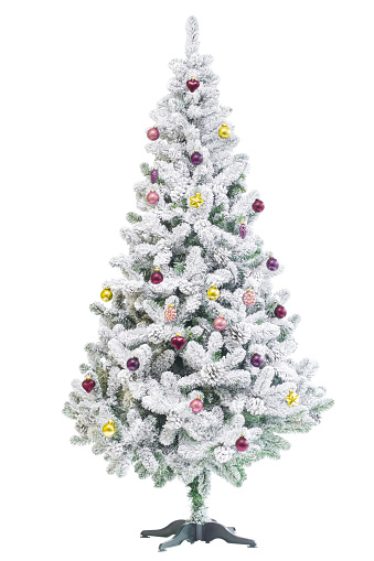 A very colourful, small decorated Christmas tree isolated on a white background.  This is a real potted Christmas tree with wrapped presents under it.