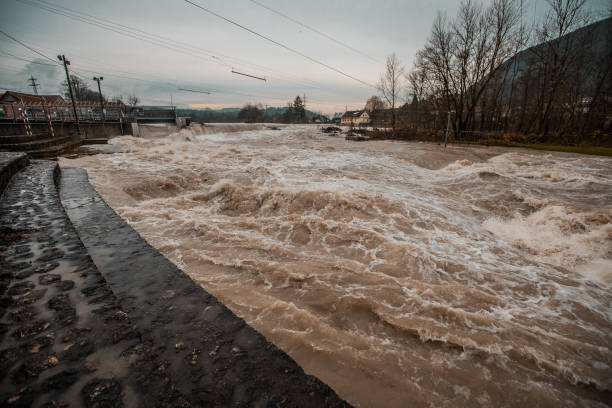 istock Wild dirty brown river just after heavy rainfall in autumn. 1350920552