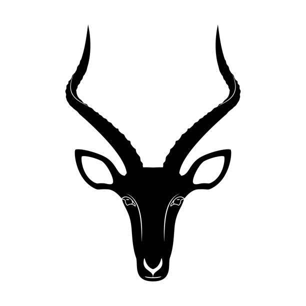 illustrazioni stock, clip art, cartoni animati e icone di tendenza di impala icona testa antilope, illustrazione vettoriale - impala
