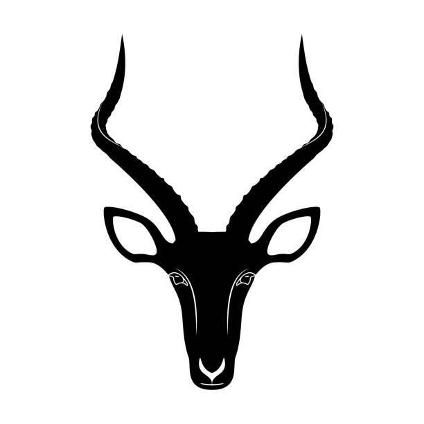 Impala antelope head icon, vector illustration Impala antelope head icon, vector illustration design impala stock illustrations