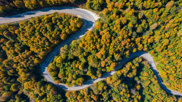 Beautiful autumn forest landscape with winding mountain road. Beautiful autumn forest landscape with winding mountain road. Top view drone shot. Beautiful autumn colors. ridgeway stock pictures, royalty-free photos & images