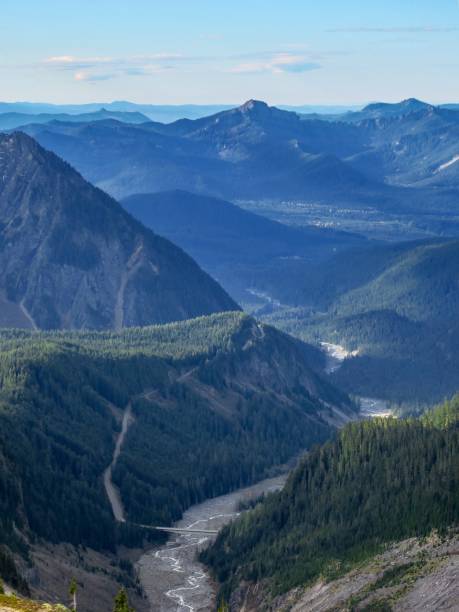 istock A Creek in a Majestic Valley in Washington 1350923541