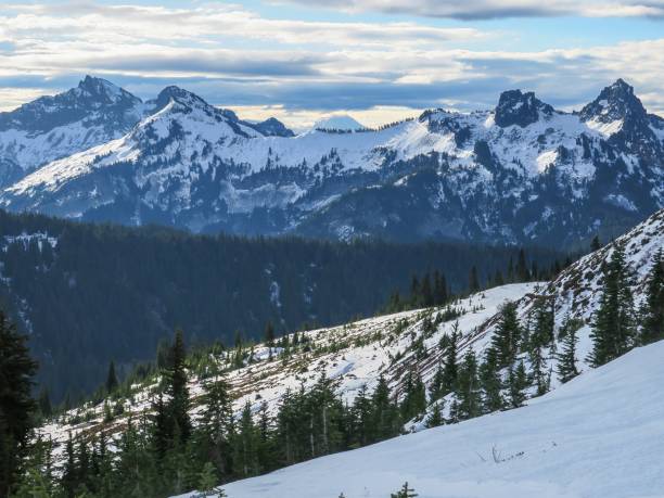 istock A Majestic Snow-covered Valley in Mount Rainier National Park 1350923612