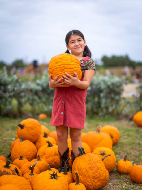 提出された大きなカボチャを保持している強い小さな女の子 - pumpkin child little girls pumpkin patch ストックフォトと画像