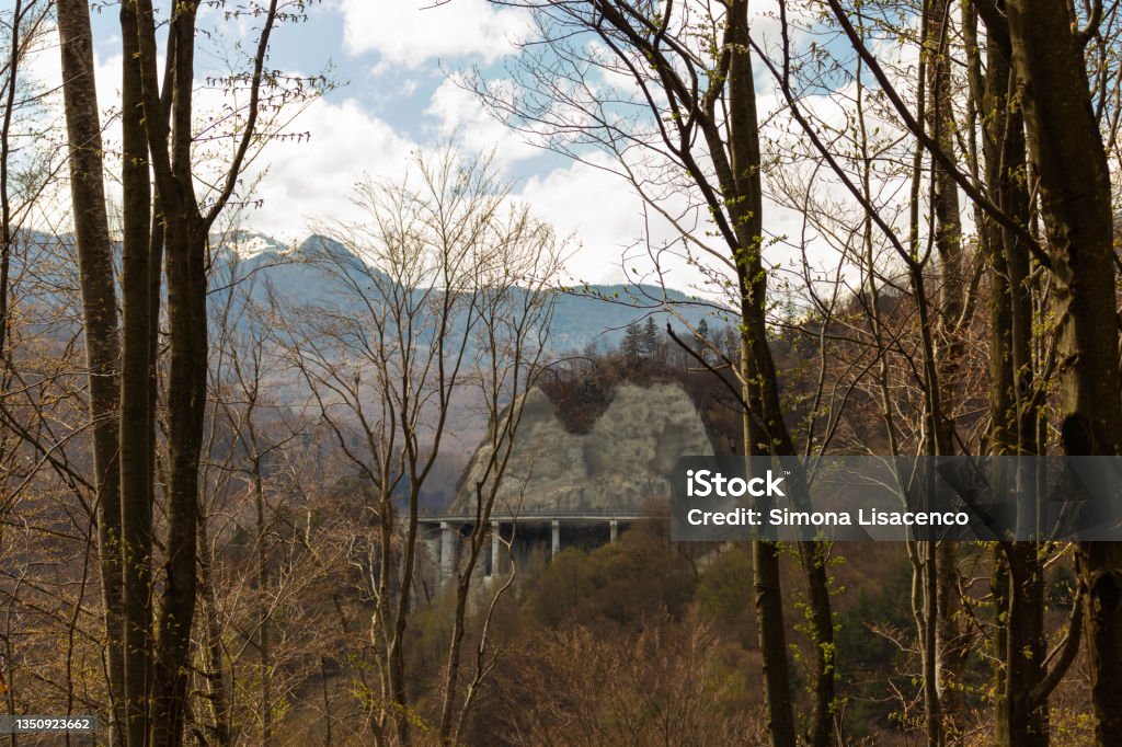 Photo from afar of the Siriu dam, Buzau, among the trees with high trunks and which were barely leafing Photo from afar of the Siriu dam, Buzau, among the trees with high trunks and which were barely leafing; in the back are the Carpathians of curvature Animal Wildlife Stock Photo