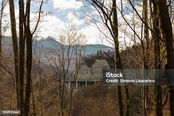 Photo From Afar Of The Siriu Dam Buzau Among The Trees With High Trunks And Which Were Barely Leafing Stock Photo - Download Image Now