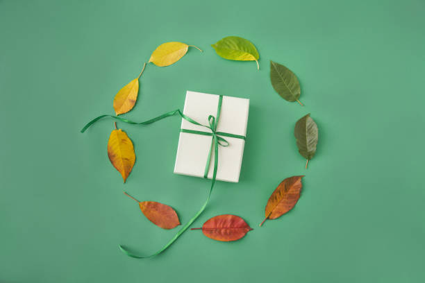 Life cycle time movement in circular form manifested by leaves in collors from green, yellow, red and brown flat lay on aqua background representing a year of life of a tree or human with a new year gift box and ribon movimiento del tiempo del ciclo de vida en forma circular manifestado por hojas en collores de verde, amarillo, rojo y marrón plano sobre fondo acuático que representa un año de vida de un árbol o humano con una caja de regalo de año nuevo y ribón