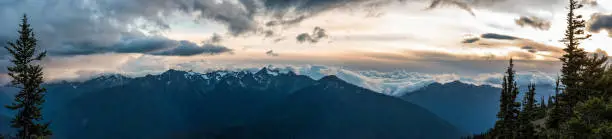 Photo of Alpine landscape in the Olympic National Park, Washington State