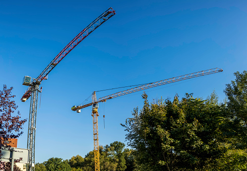 cranes over a clear blue sky