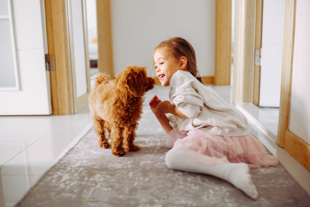 istock Little girl playing with dog 1350927821