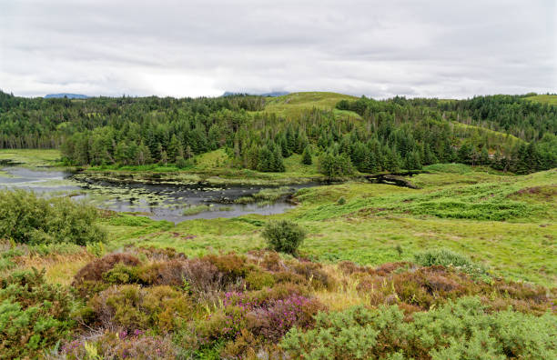 Loch Inchard on Sutherland coast - North West Highlands