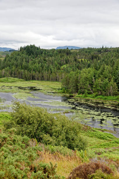 istock Loch Inchard on Sutherland coast - North West Highlands 1350927902