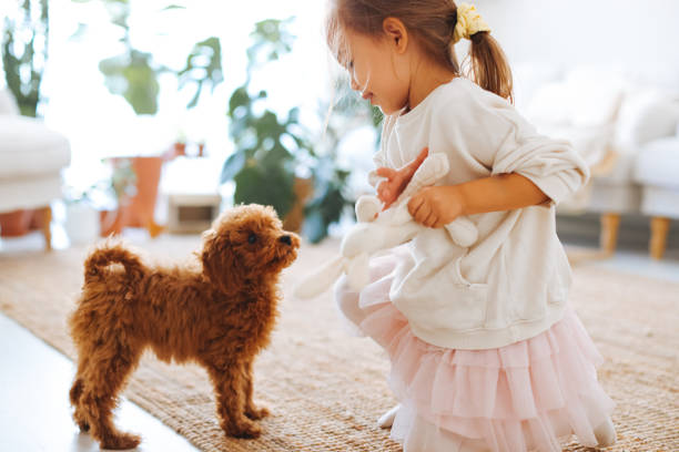 istock Little girl playing with dog 1350928880