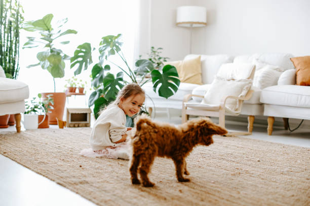 istock Little girl playing with dog 1350928918