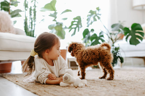 istock Little girl playing with dog 1350929138