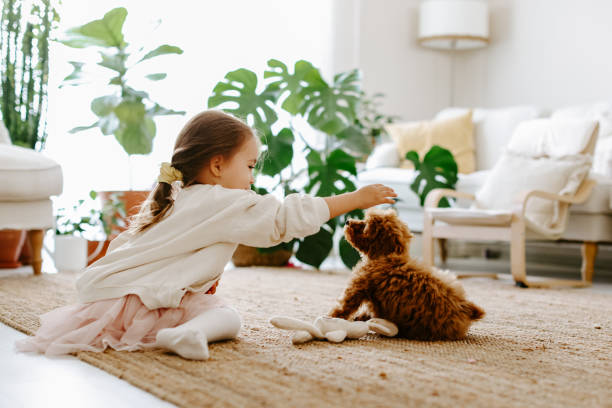 istock Little girl playing with dog 1350929792