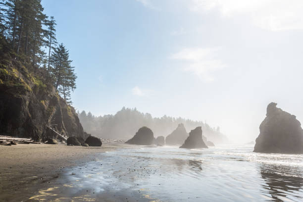 istock Famous Ruby Beach on the Pacific coast, Olympic National Park 1350930080