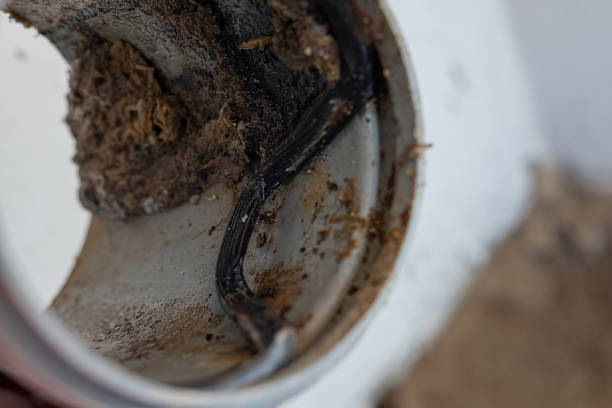 istock Crooked or wrinkled seal ring on a sewage pipe, a major problem for leaking sewage or draining pipes. Detail of a bent seal. 1350933177