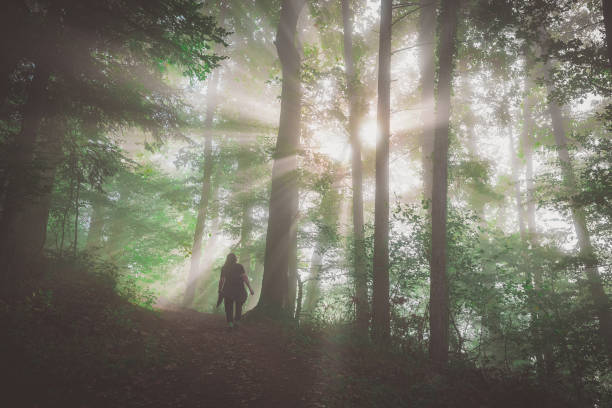 istock Unknown person walking on a forest path with strong backlight and streaks of light piercing through fog. Woman lost in an enchanted forestm visible silhouette. 1350934092