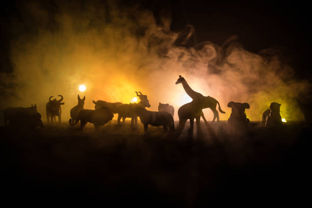 490+ Giraffe Food Chain Stock Photos, Pictures & Royalty Biology Diagrams