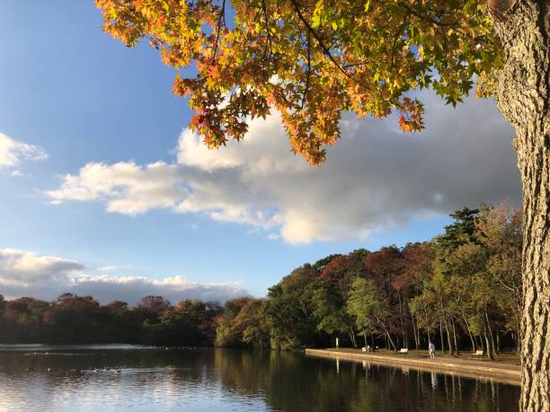 istock Bright Orange and Yellow Fall Foliage Over Belmont Lake 1350939712