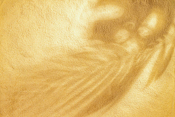 Sand background with copy space for text. Sand texture closeup with palm shadow. Horizontal background pattern of sand beach