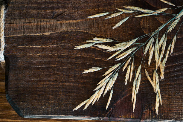 Tropical palm leaf on old wooden table with Copy space