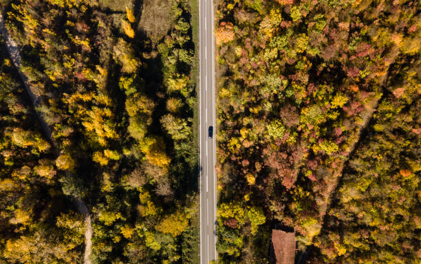 istock Top down aerial view drone image on the road trough the trees and forest in mountain range in autumn day - Tresibaba Knjazevac Mountain in Serbia - Travel journey and vacation concept car driving 1350946793