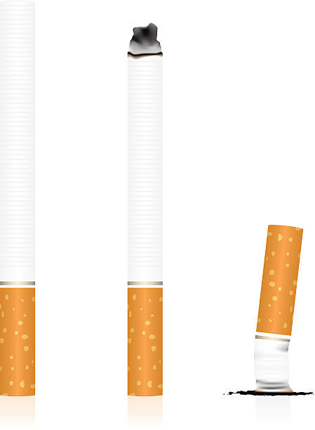 Cigarette vector art illustration
