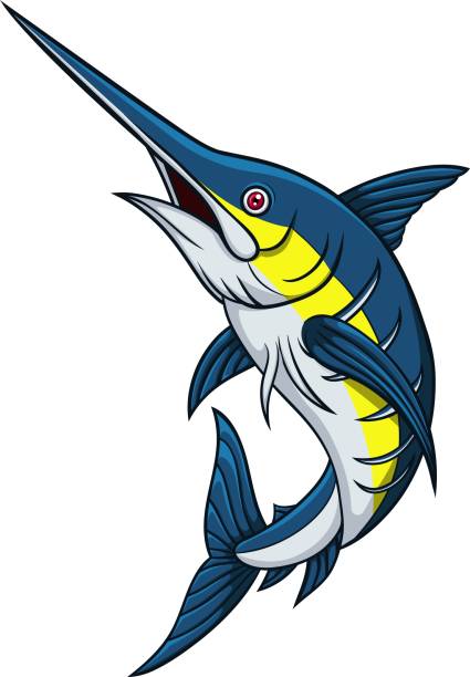 ilustrações de stock, clip art, desenhos animados e ícones de cartoon marlin fish isolated on a white background - marlin sailfish nature saltwater fish