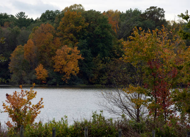 istock Autumn trees along a lakeshore. 1350955366