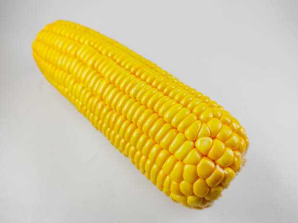 istock Raw corn - stock photo 1350956338