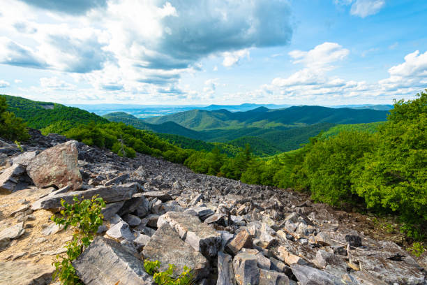 View from Blackrock Summit in Shenandoah National Park,VA View from Blackrock Summit in Shenandoah National Park,VA shenandoah national park stock pictures, royalty-free photos & images