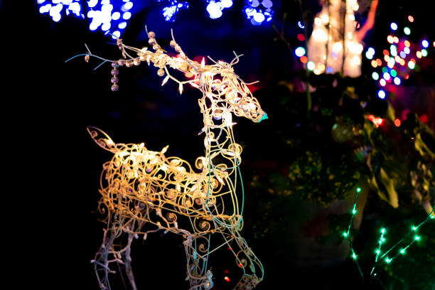 istock Lighted Reindeer Decoration for outdoor. 1350959029