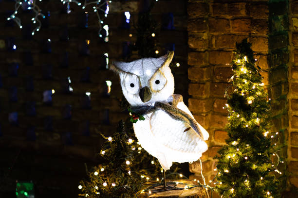 istock Lighted Owl Decoration for Christmas outdoor. 1350959040
