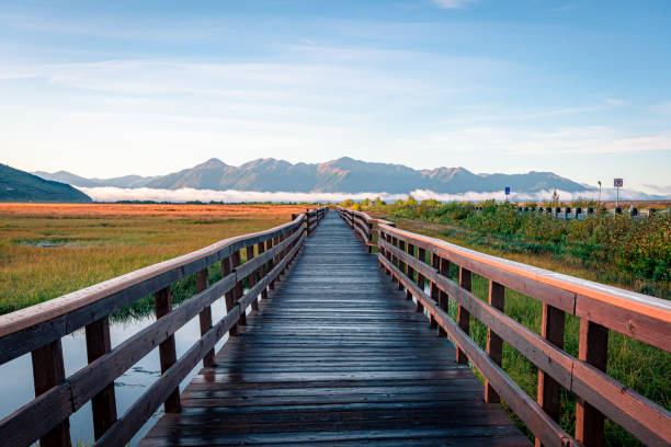 istock Potter Marsh Bird Sanctuary, Alaska 1350959253