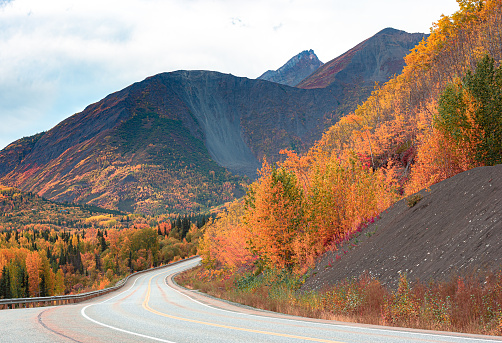 Fall color along the highway in Alaska