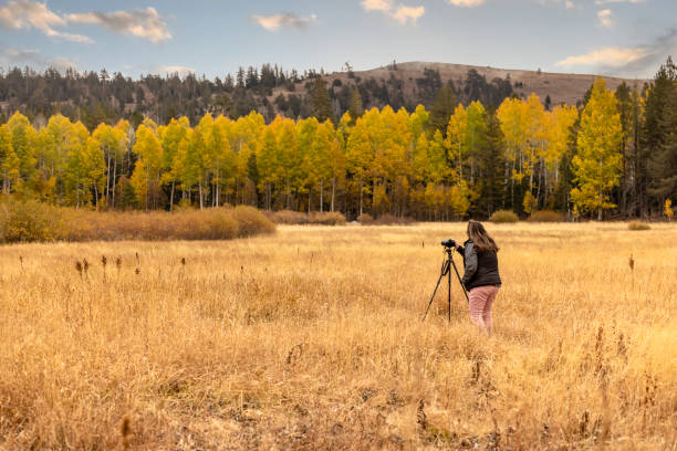 Free Stock Photo of Autumn foliage and photographer with camera ...