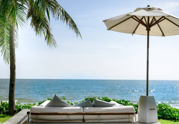 диван с видом �на пляж, море, зонтики, кокосовые пальмы и зеленую траву. голубое небо - thailand surat thani province ko samui coconut palm tree стоковые фото и изображения